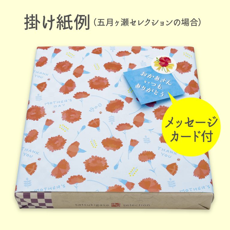 【母の日】掛け紙例